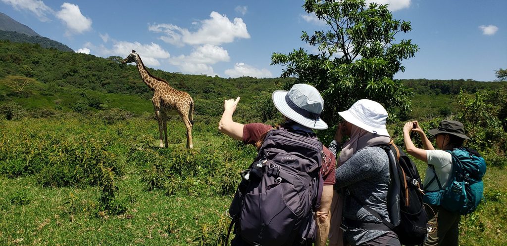 Mount Meru scenery in Arusha National Park