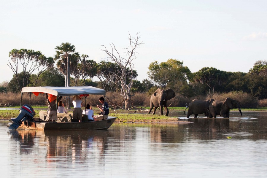 A safari in Nyerere National Park