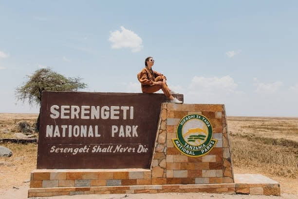 Wildlife and open plains in Serengeti National Park