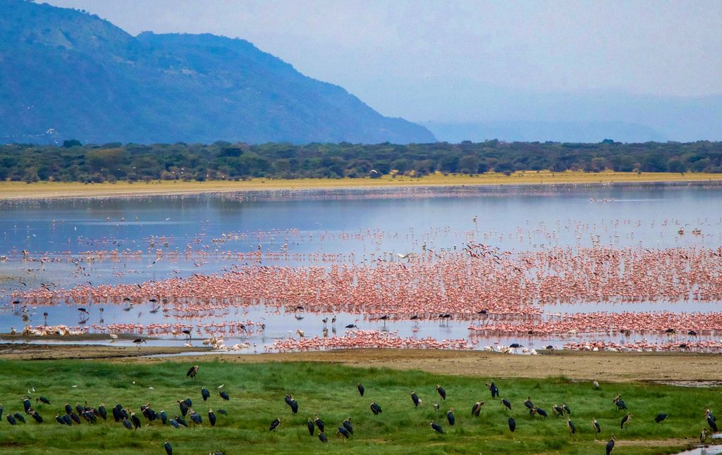 Lake Manyara National Park landscape