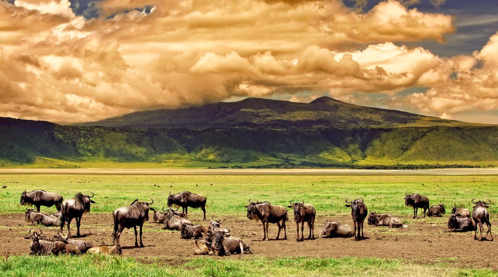The landscape of Ngorongoro Crater in Tanzania